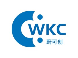 銳馳光公(gōng)司logo設(shè)計(ji)